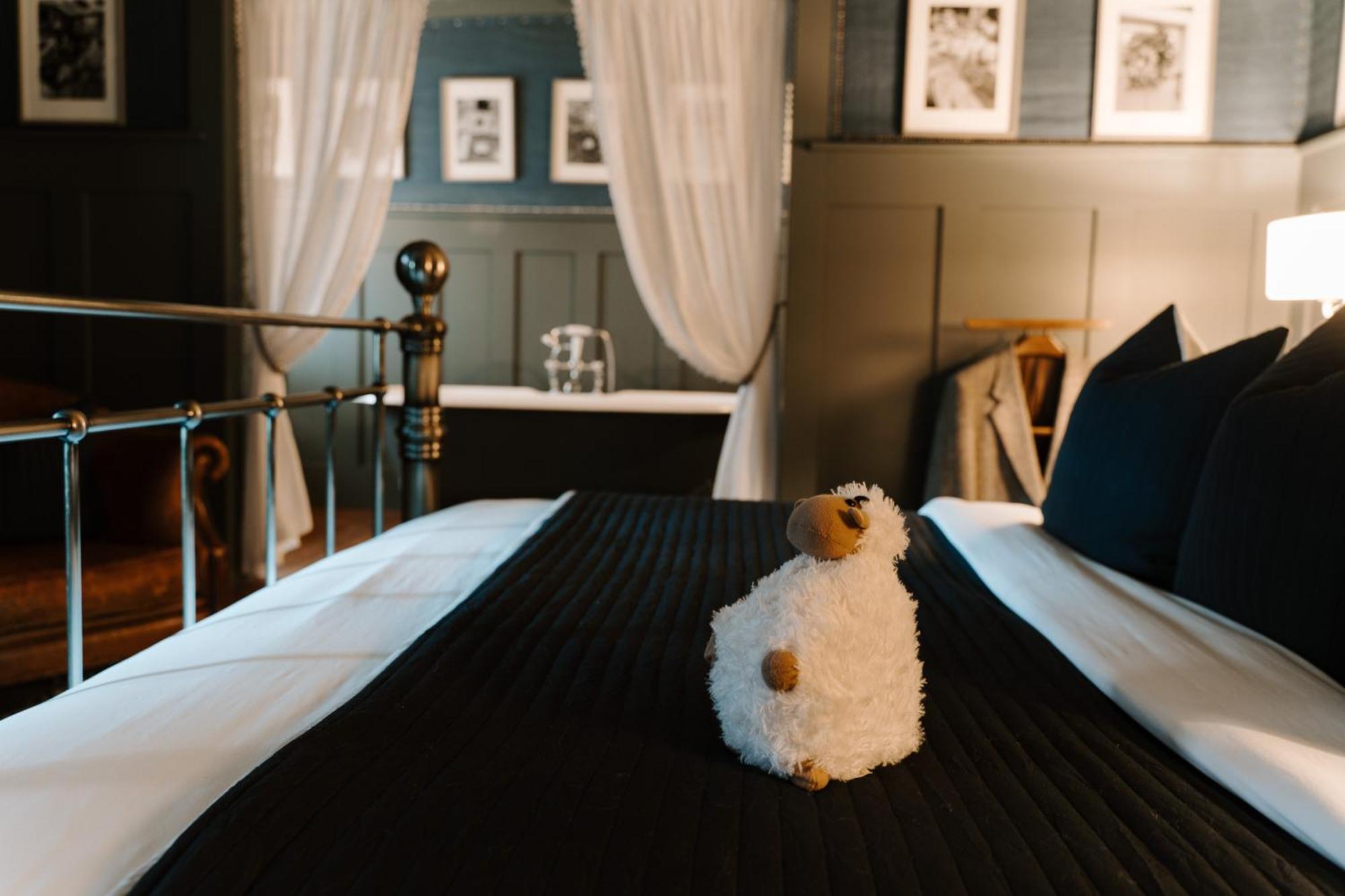 Sheddington Manor - 2 Bedroom Guest House & Cinema ベルファスト エクステリア 写真